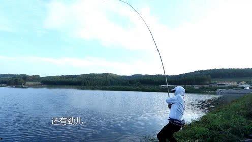 钓鱼视频化绍新,钓鱼技巧与乐趣的全新演绎