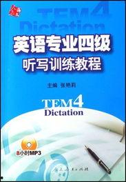 英语四级教学视频,高效学习策略与技巧解析