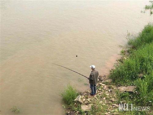 襄阳钓鱼视频,悠然垂钓，乐享自然之美