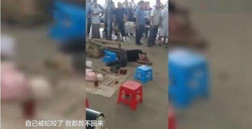 卖蛇药视频,跟随视频探寻神秘蛇药的制作与功效