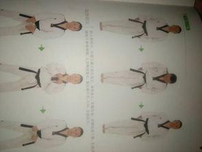 太极七章视频,动静之间，探寻阴阳平衡之道